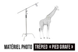 pied-girafe-studio-photo